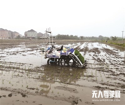全省首臺(tái)無人駕駛 水稻插秧機(jī)下田作業(yè)
