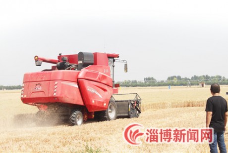 淄博首次啟用無人駕駛農機參與夏收夏播，141.23萬畝小麥收獲過半！