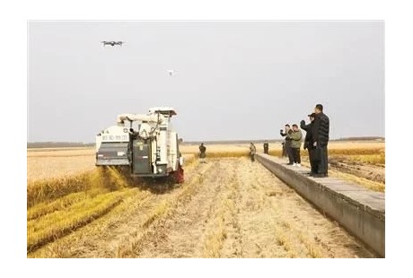無人駕駛收割機(jī)顆粒歸倉